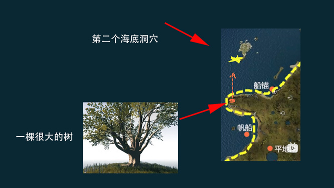 森林水下洞穴在哪 寻找森林水下洞穴攻略