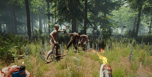 森林怎么睡觉按z为什么没反应