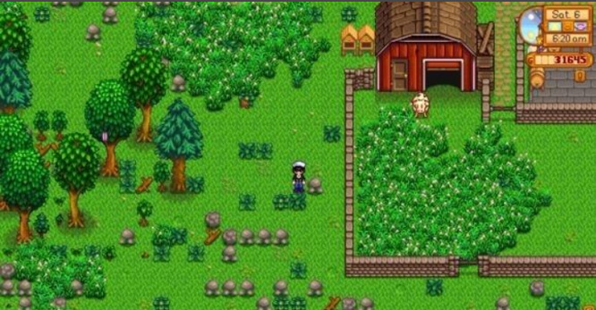 星露谷物语后期干什么