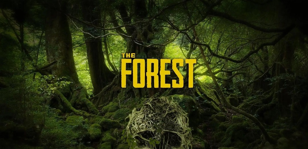 森林飞机前半部分在哪