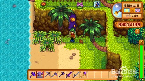 姜岛图文详解攻略 星露谷物语攻略详解姜岛之旅