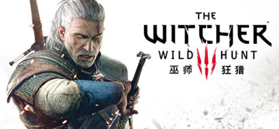 巫师三可以多人联机吗