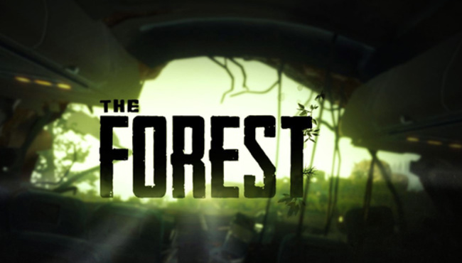 森林看不到队友名字怎么办