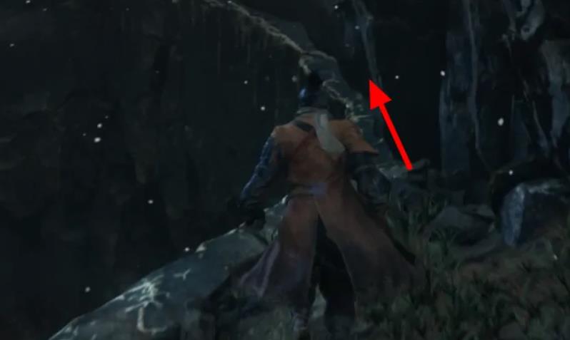 只狼刚开始怎么过 隐秘行踪只狼之影逝二度