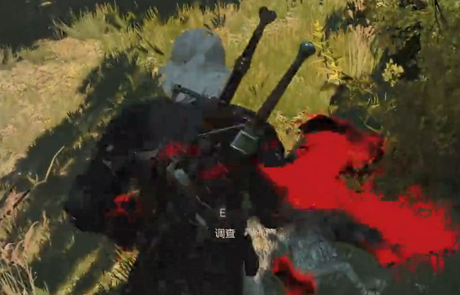 巫师3：狂猎我心狂野任务怎么选 狂野冒险巫师3狂猎如何选择心仪任务