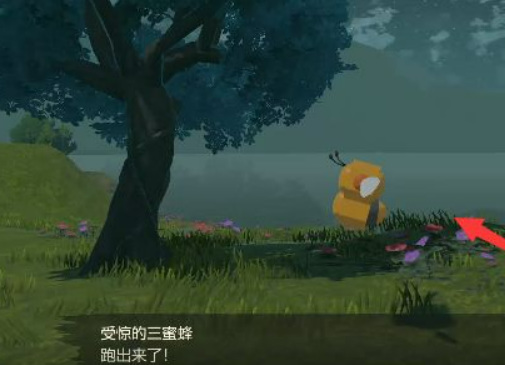 阿尔宙斯玫瑰岛哪里有三蜜蜂 宝可梦传说阿尔宙斯岛寻找三蜜蜂