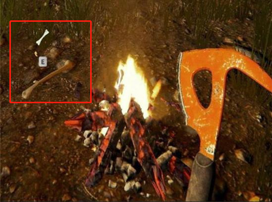 森林骨头怎么获得