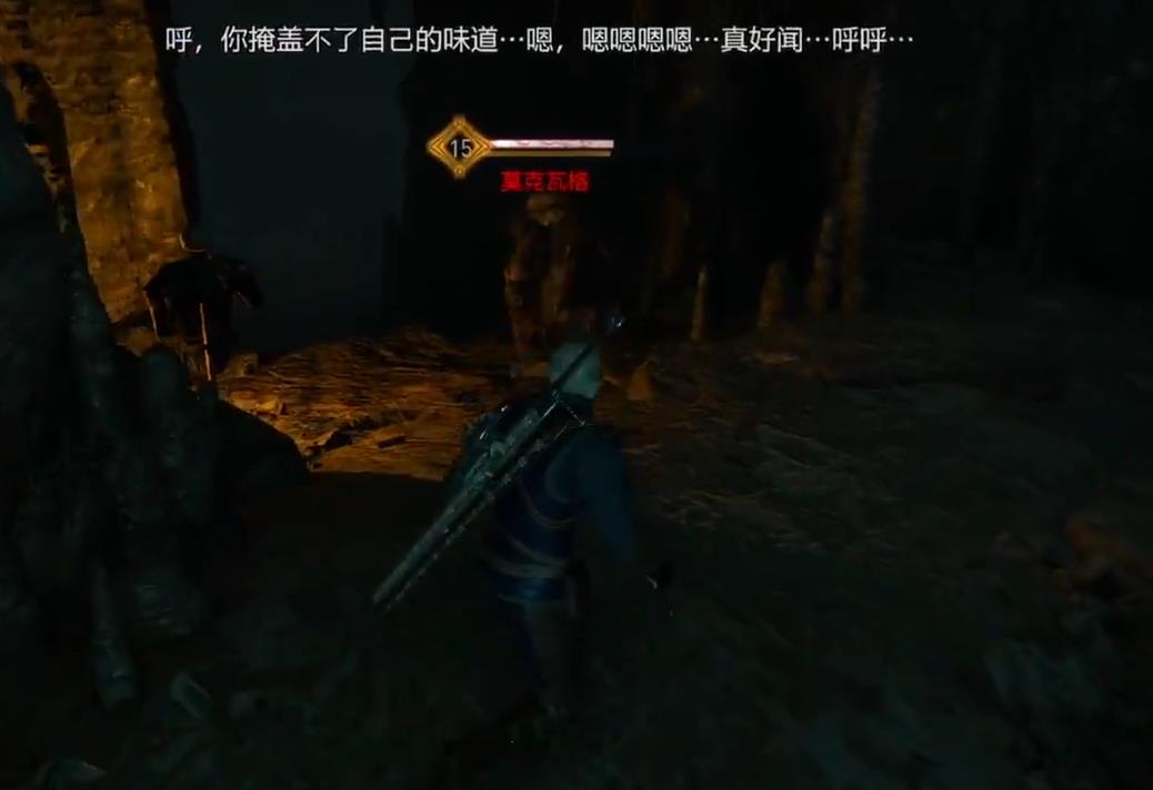 巫师3花园钥匙在哪