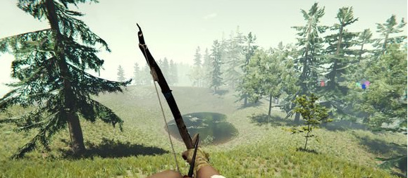 森林浣熊在哪 探索森林世界寻找浣熊游戏