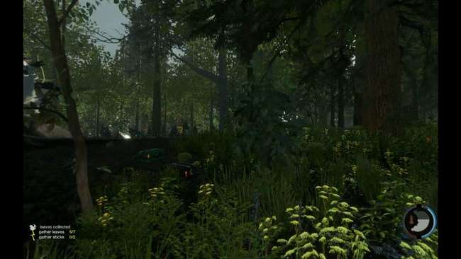 森林鹿皮可以做什么