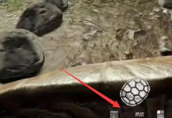 森林乌龟壳怎么滑行 探索森林世界玩法大揭秘如何让乌龟壳滑行