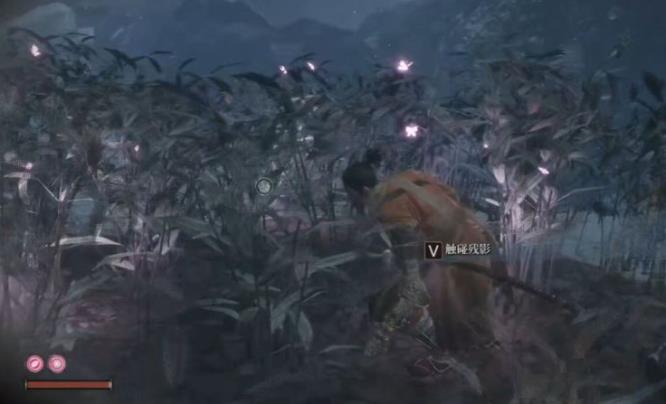 只狼打完武士大将之后往哪走 砥砺前行只狼影逝二度的下一章