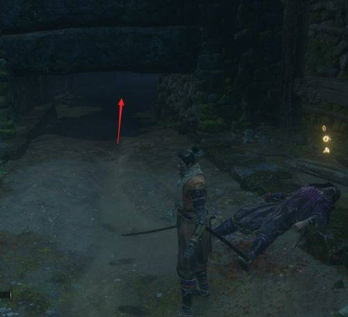 只狼苇名之底路线怎么走 只狼影逝二度苇名之底路线攻略