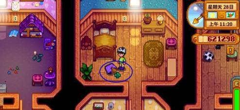 星露谷物语小紫在哪