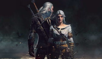 巫师3：狂猎皇宫5个问题怎么回答