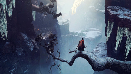 如何获得奖杯-拜泪以及难点心得 只狼影逝二度获得奖杯攻略及心得分享