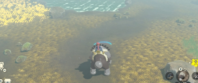 阿尔宙斯怎么切换月月熊 如何在宝可梦传说阿尔宙斯中切换月月熊