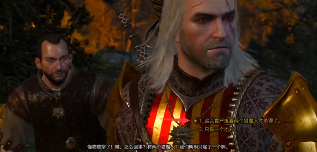 巫师3真假猎魔人要拆穿吗