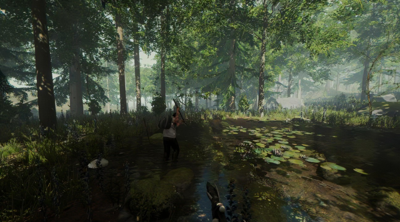 森林锅在哪获得