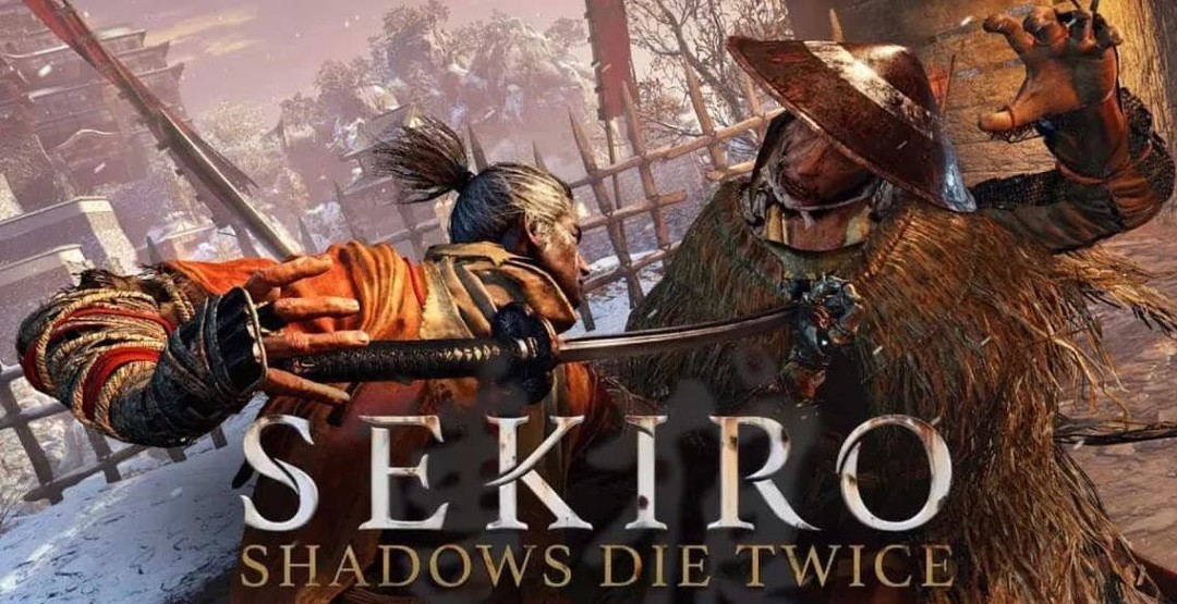 只狼的主角有几把刀