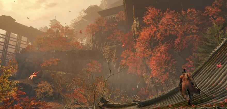 只狼太郎柿在哪刷