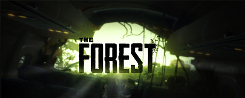 森林不显示玩家名字怎么办