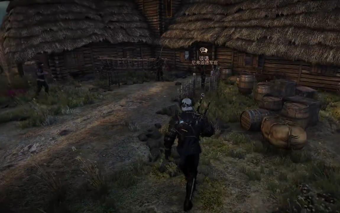 巫师3怎么改外观 如何自定义巫师3狂猎主角外观