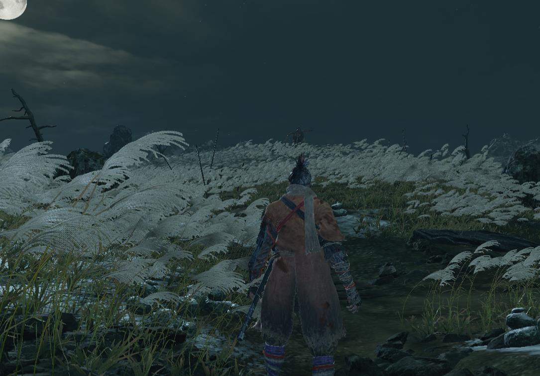 只狼必须断手吗