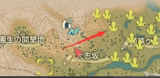 阿尔宙斯黑玉石怎么获得 宝可梦传说阿尔宙斯黑玉石获取攻略