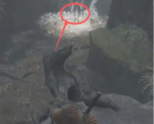 只狼隐藏森林怎么走 只狼影逝二度