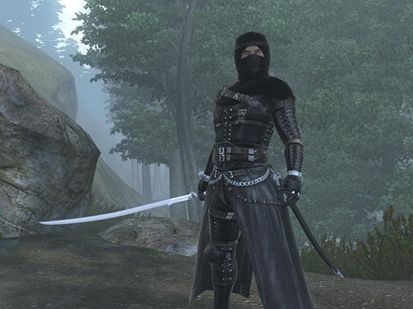 上古卷轴5幻刺开局怎么玩