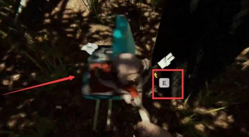 森林布怎么获得