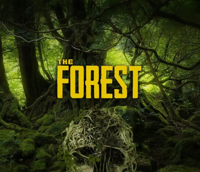 森林获得所有物品代码是多少