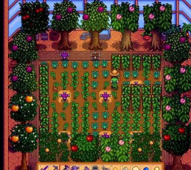 星露谷物语远古种子多久成熟