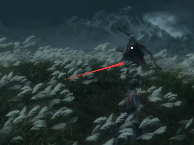 只狼如何做到完美弹刀