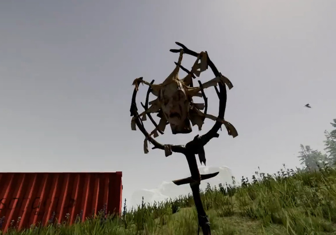 森林提米在哪 森林提米之追寻游戏