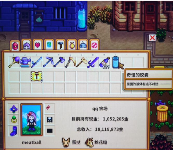 星露谷物语奇怪的胶囊是什么