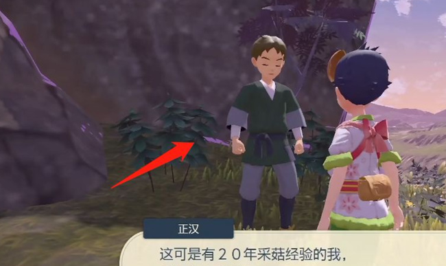 阿尔宙斯菇诱团在哪