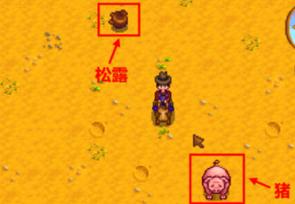 星露谷松露油怎么做