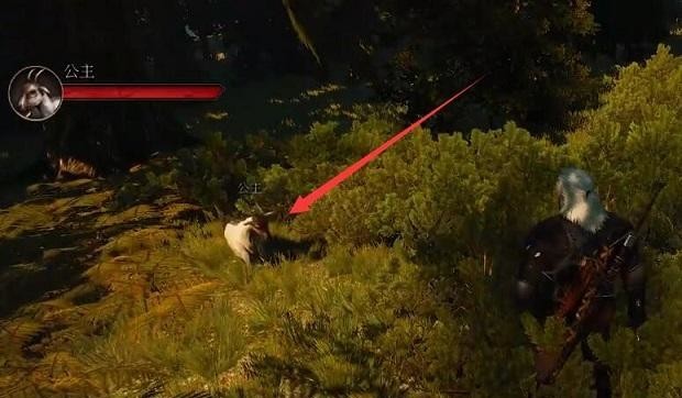 巫师3山羊怎么带回去 巫师3狂猎山羊归途