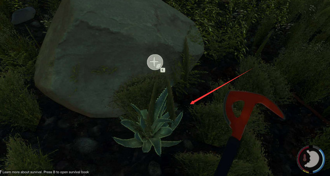 森林芦荟怎么获得