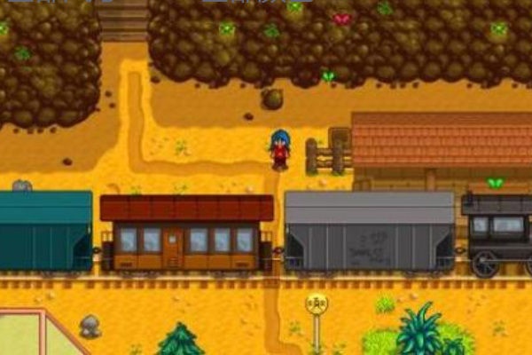 星露谷火车经过是什么意思