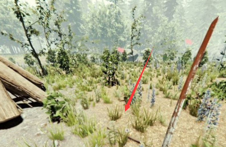 theforest树叶怎么获得 如何在TheForest中获取树叶