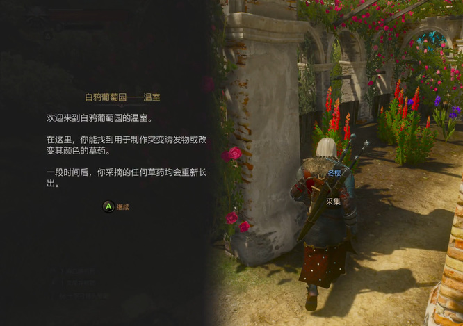 冬樱哪里有卖 冬樱售卖地点查询