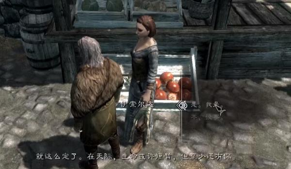 上古卷轴5怎么结婚 上古卷轴5天际中如何结婚