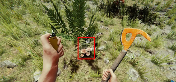 theforest怎么吃东西 森林中的吃食指南