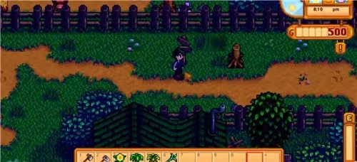 星露谷物语怎么才能挣更多的钱 如何在星露谷物语中赚更多的金币