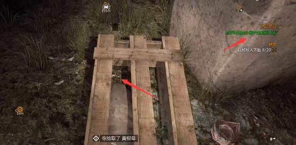 消逝的光芒草药在哪弄 消逝的光芒中如何获取草药