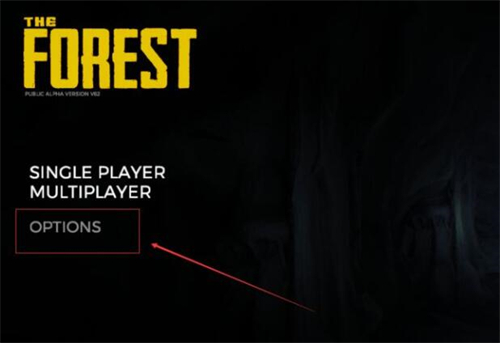 森林steam怎么调中文