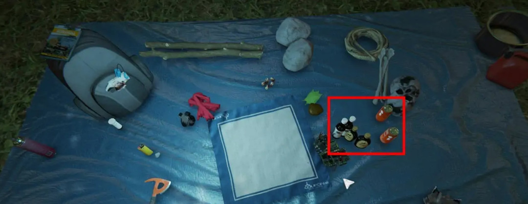 森林怎么吃东西 森林中的美食冒险